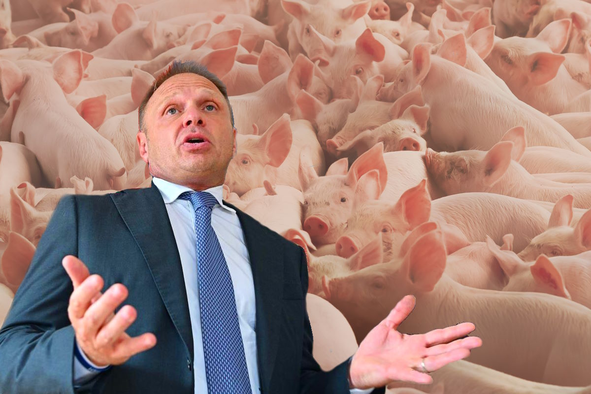 Lollobrigida chiede all'UE di fare ciò che lui non ha fatto in Italia: una valutazione economica, ambientale e sociale della carne coltivata
