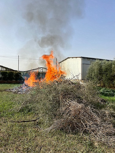 Milazzo (ME) – Vigili urbani sanzionano quattro persone per gli incendi nella Piana