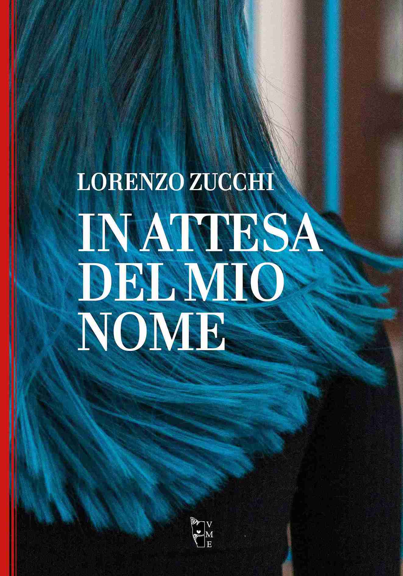 In attesa del mio nome, di Lorenzo Zucchi