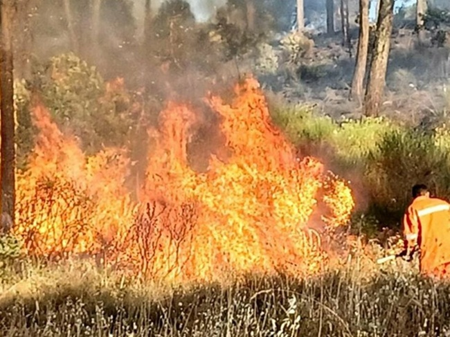 Milazzo (ME) - Obblighi per i cittadini e divieti dal 15 maggio nell’ordinanza antincendio